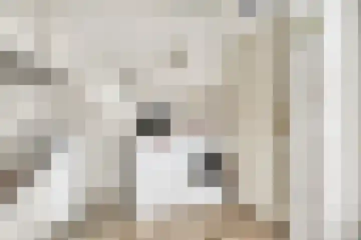 De Band 59 Lith thumbnail 9