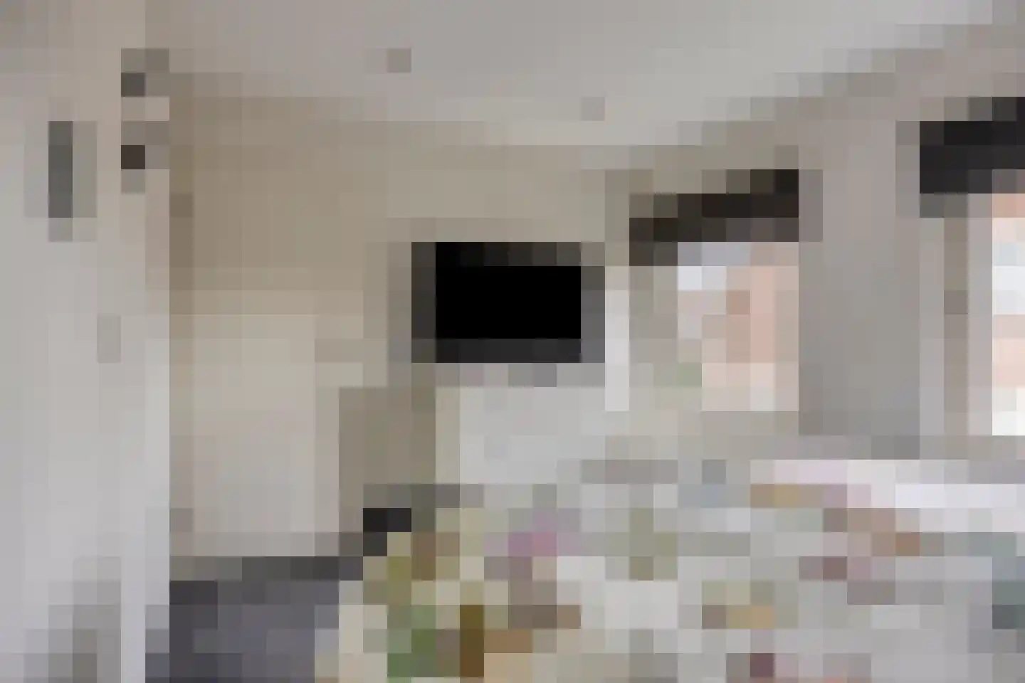 De Band 62 Lith thumbnail 12