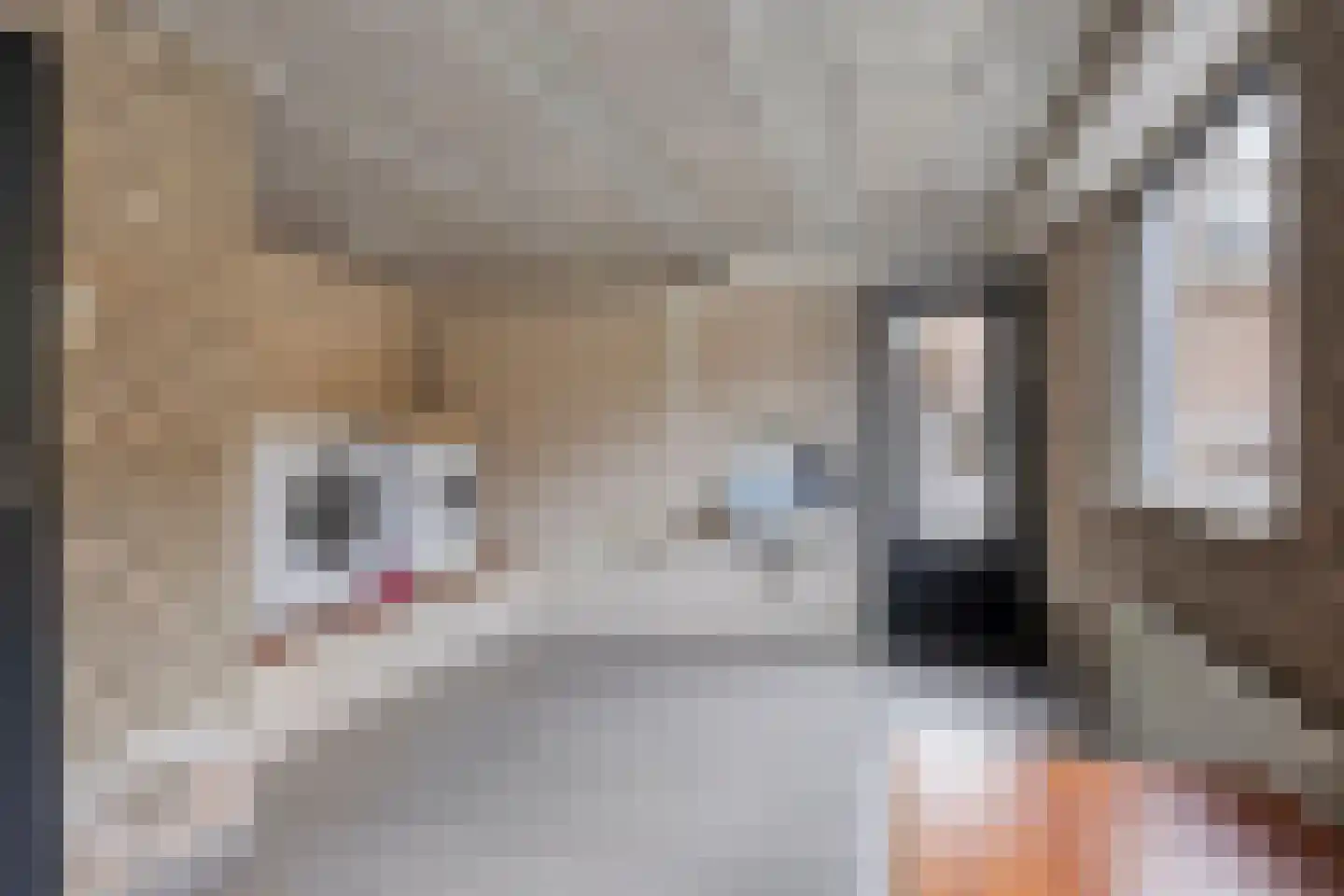De Band 62 Lith thumbnail 23