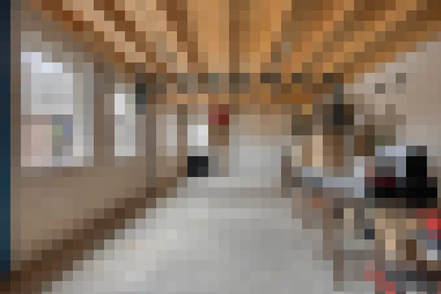De Band 62 Lith thumbnail 27