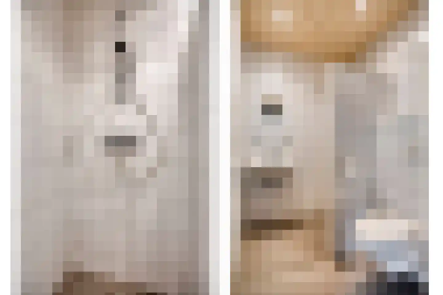 De Band 62 Lith thumbnail 30