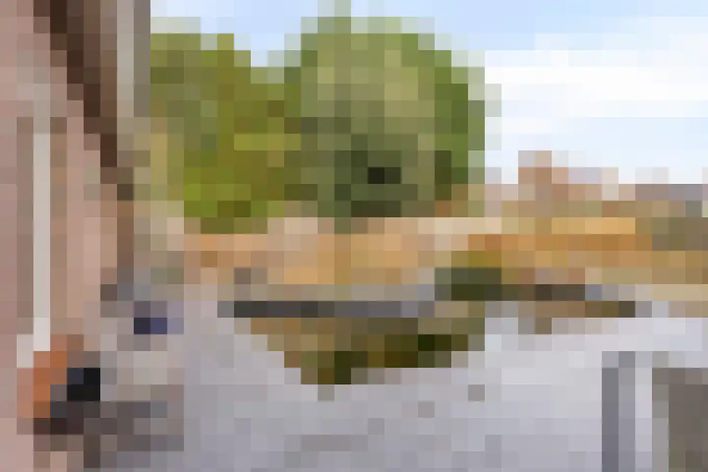 De Band 62 Lith thumbnail 32
