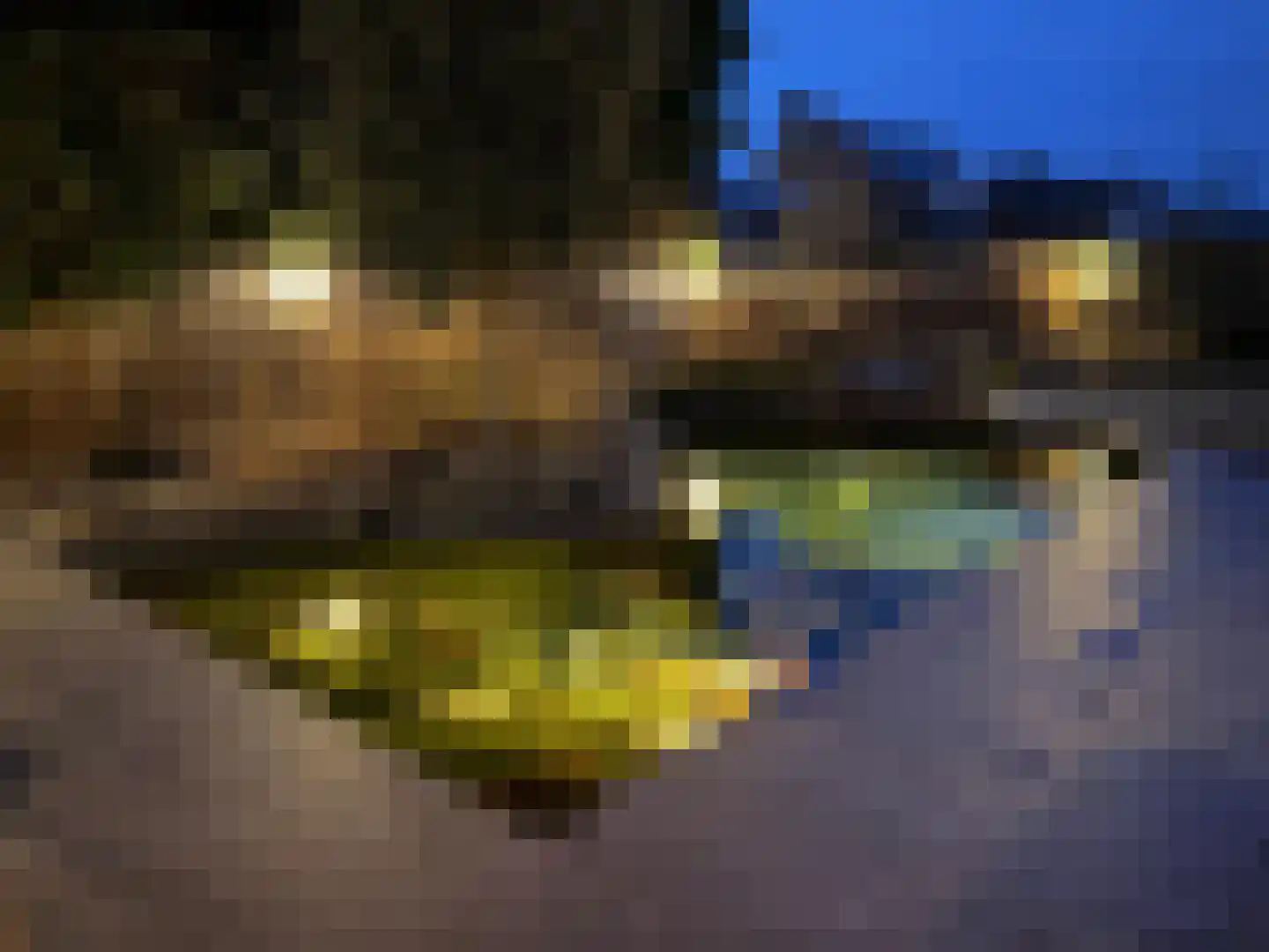 De Band 62 Lith thumbnail 33