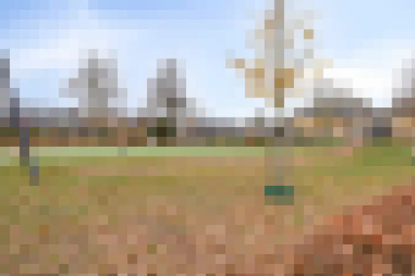De Band 62 Lith thumbnail 39