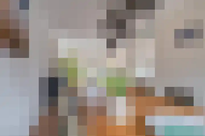 De Barrage 15 Appingedam thumbnail 22