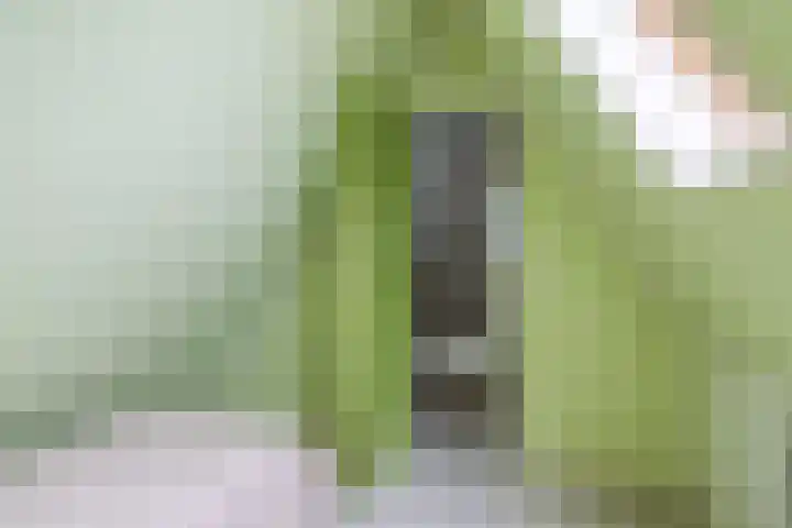 De Barte 7 Mantgum thumbnail 35
