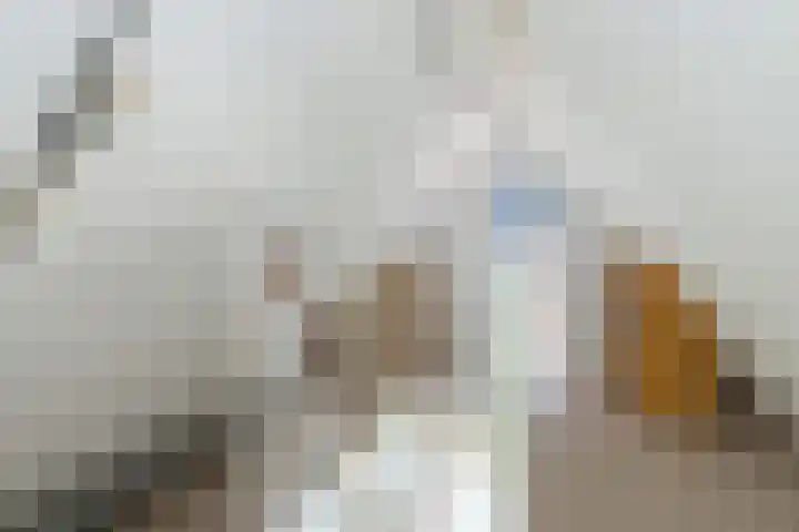 De Barte 7 Mantgum thumbnail 36