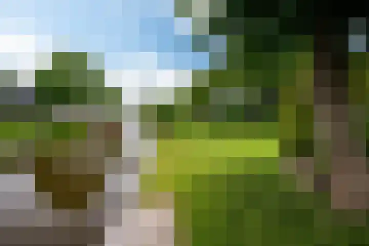 De Barte 7 Mantgum thumbnail 4