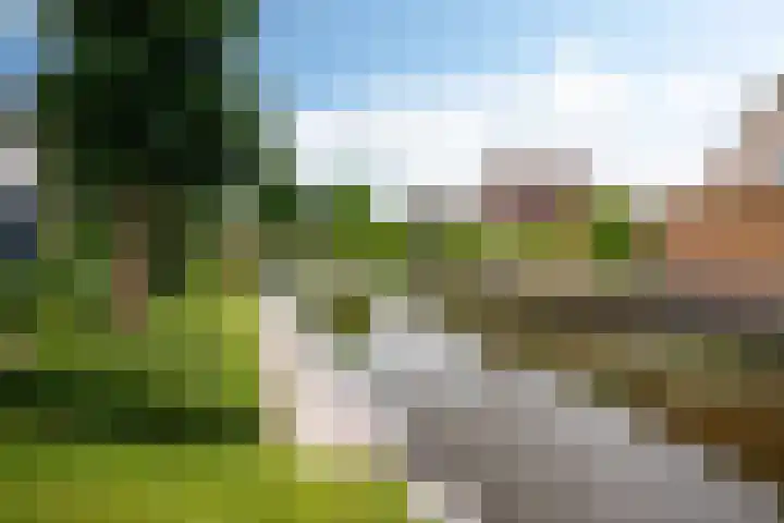 De Barte 7 Mantgum thumbnail 43