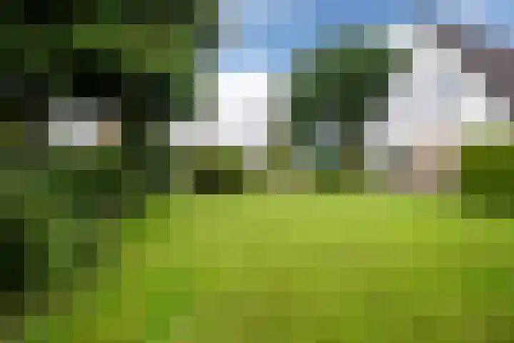 De Barte 7 Mantgum thumbnail 44