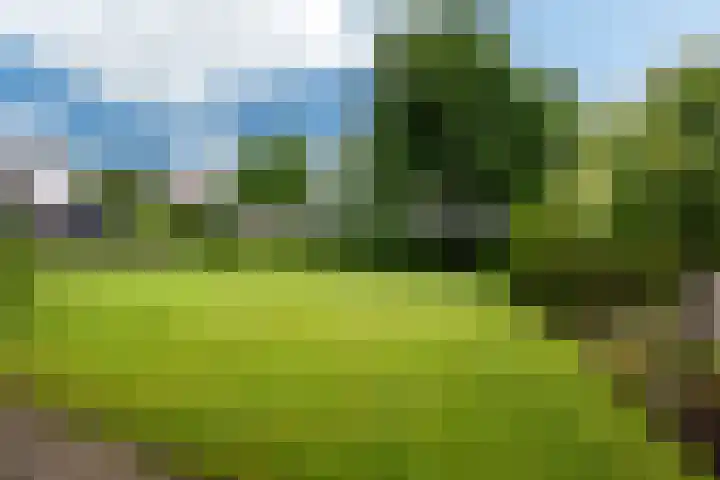 De Barte 7 Mantgum thumbnail 45