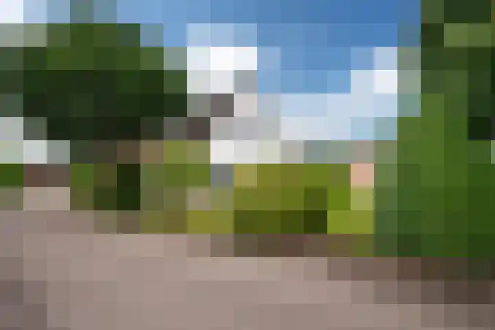 De Barte 7 Mantgum thumbnail 46