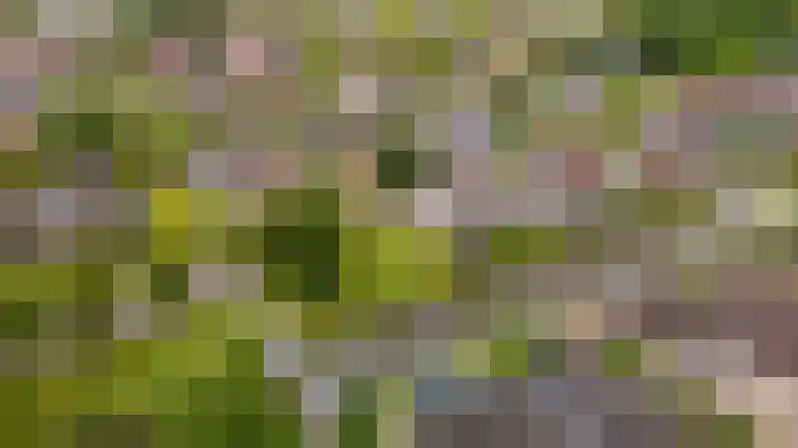 De Barte 7 Mantgum thumbnail 47