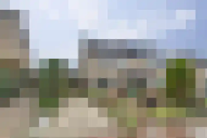 de Bas 9 Ewijk