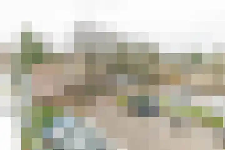 de Batenburg 11 Soest thumbnail 23