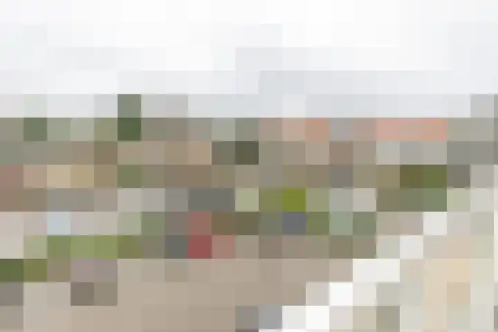 de Batenburg 11 Soest thumbnail 24