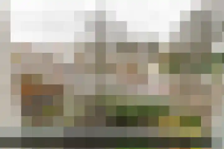 de Batenburg 11 Soest thumbnail 35
