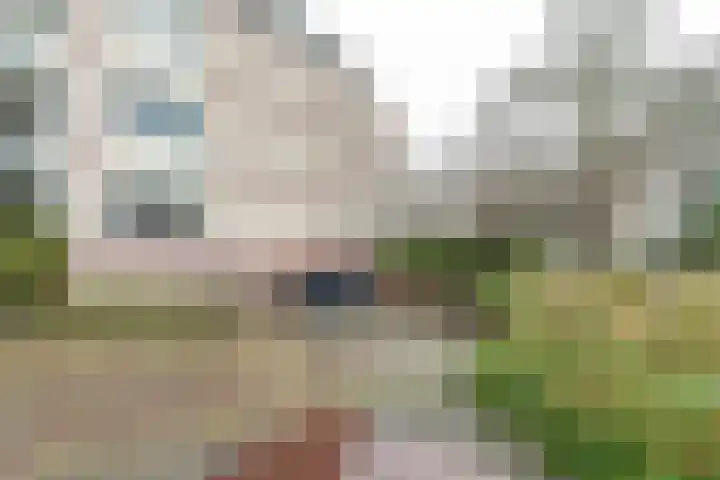 de Batenburg 11 Soest thumbnail 39