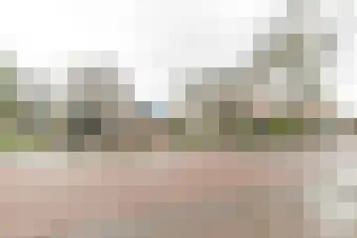 de Batenburg 11 Soest thumbnail 43