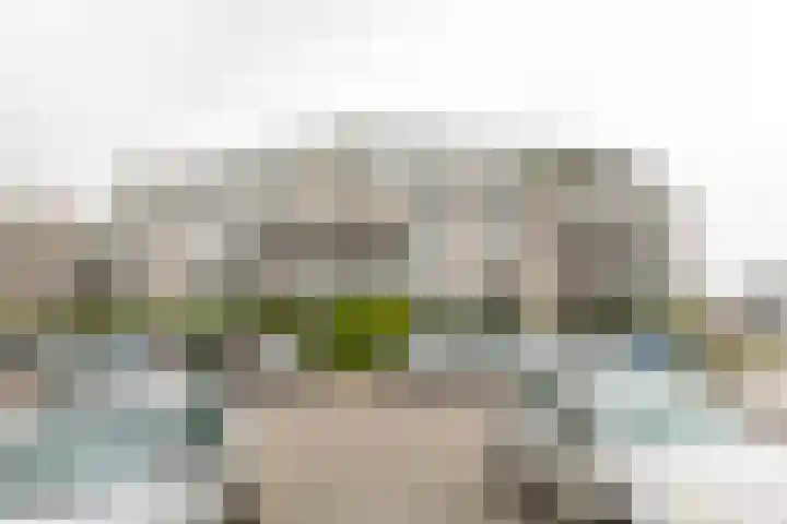 de Batenburg 11 Soest thumbnail 8