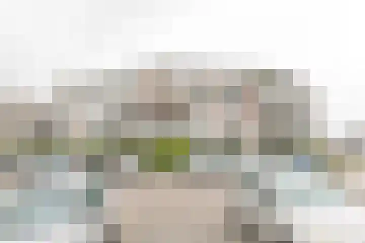 de Batenburg 11 Soest thumbnail 9