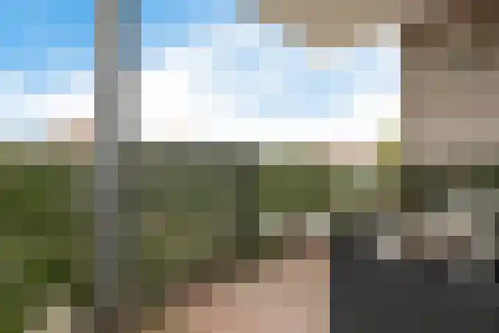 de Batenburg 37 Soest thumbnail 18