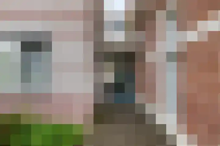 de Batenburg 37 Soest thumbnail 20