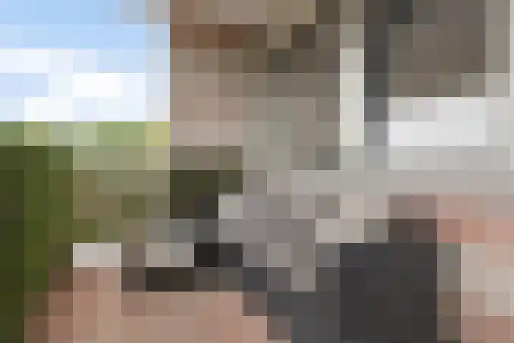 de Batenburg 37 Soest thumbnail 4