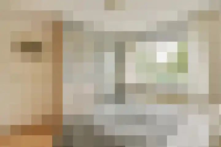 De Bazelhof 11 Amsterdam thumbnail 13