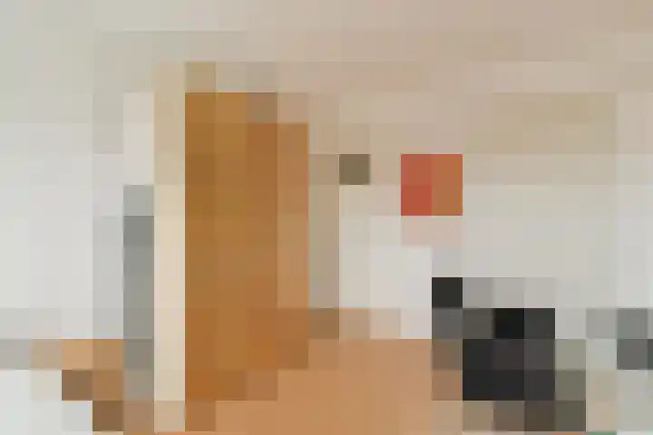 De Bazelhof 11 Amsterdam thumbnail 18