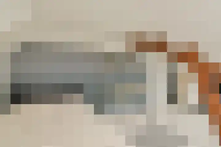 De Bazelhof 11 Amsterdam thumbnail 22