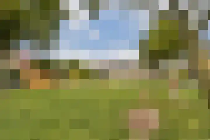 De Bazelhof 11 Amsterdam thumbnail 27