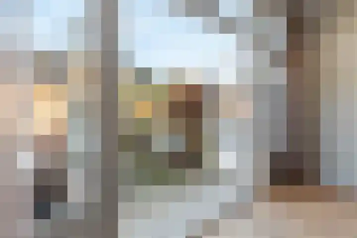 De Bazelhof 11 Amsterdam thumbnail 32