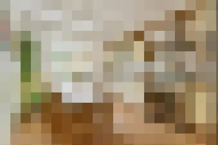 De Bazelhof 11 Amsterdam thumbnail 4