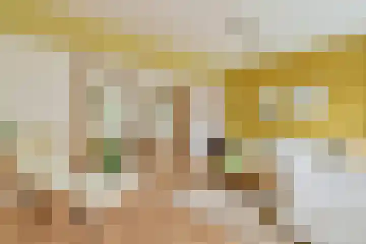 De Bazelhof 11 Amsterdam thumbnail 7