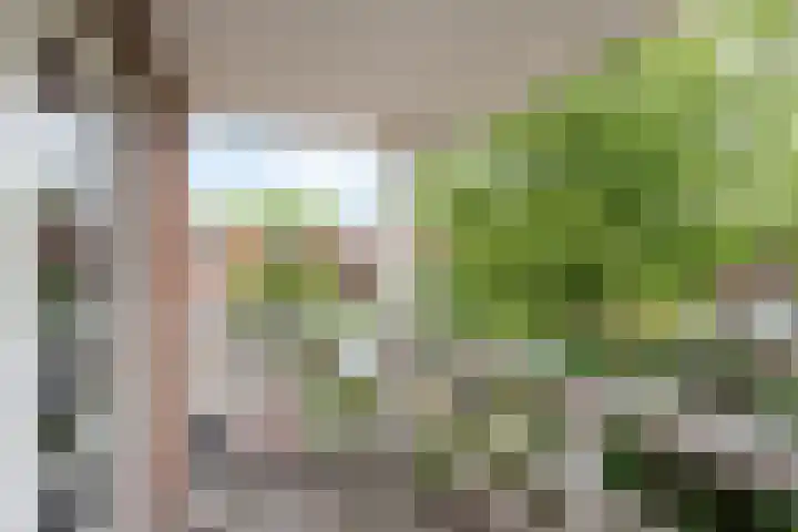 De Bazelstraat 28 Hilversum thumbnail 23