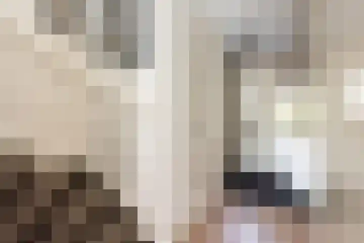 De Bazelweg 5 Laren thumbnail 4