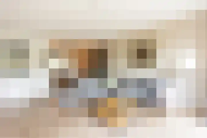 De Bazelweg 5 Laren thumbnail 6