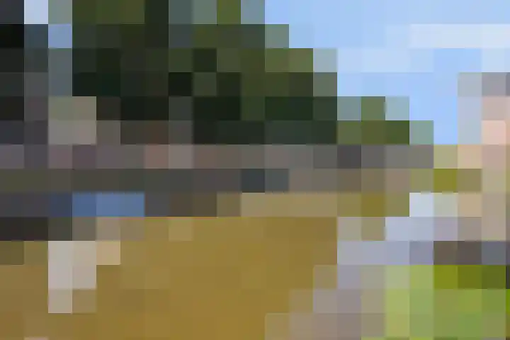 De Beekdam 10 Rosmalen thumbnail 18