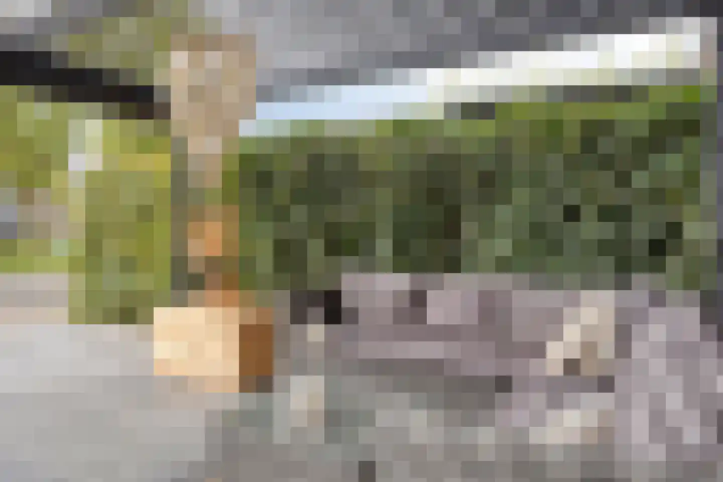 De Beekdam 11 Rosmalen thumbnail 4