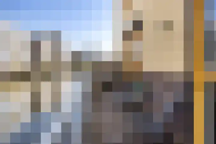 De Beekdam 9 Rosmalen thumbnail 10