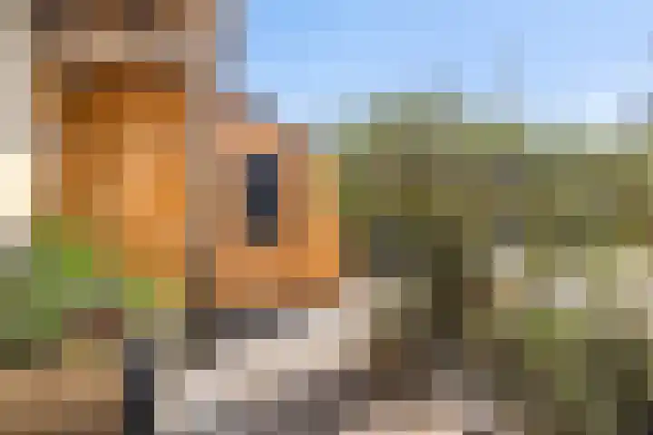 De Beekdam 9 Rosmalen thumbnail 30