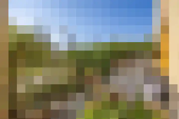 De Beekdam 9 Rosmalen thumbnail 32