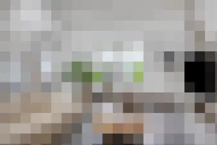 De Beekgraaf 40 Nistelrode thumbnail 14