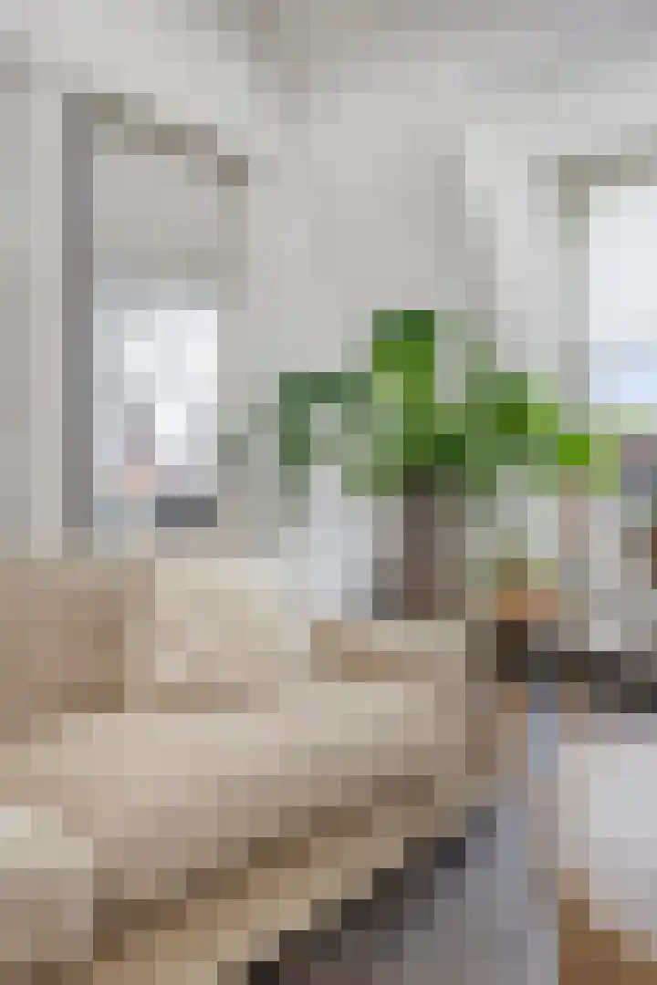 De Beekgraaf 40 Nistelrode thumbnail 15