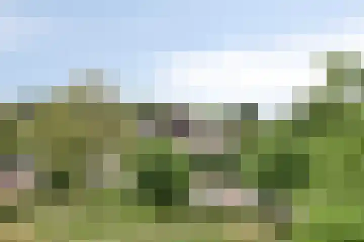 De Beekgraaf 40 Nistelrode thumbnail 29
