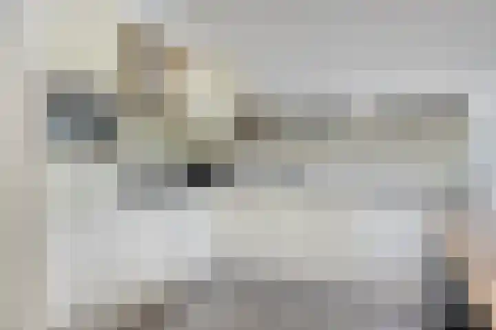 De Beekgraaf 40 Nistelrode thumbnail 7