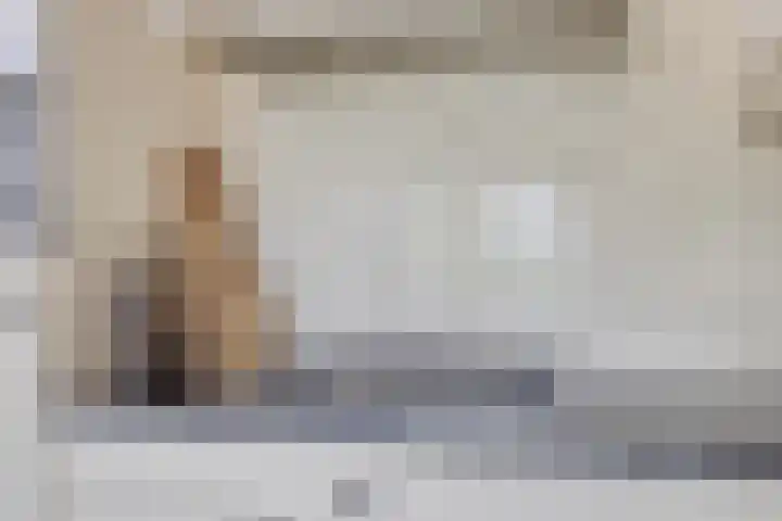 De Beekgraaf 40 Nistelrode thumbnail 9