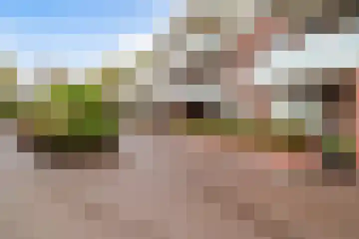 De Beemd 20 Wateringen thumbnail 10