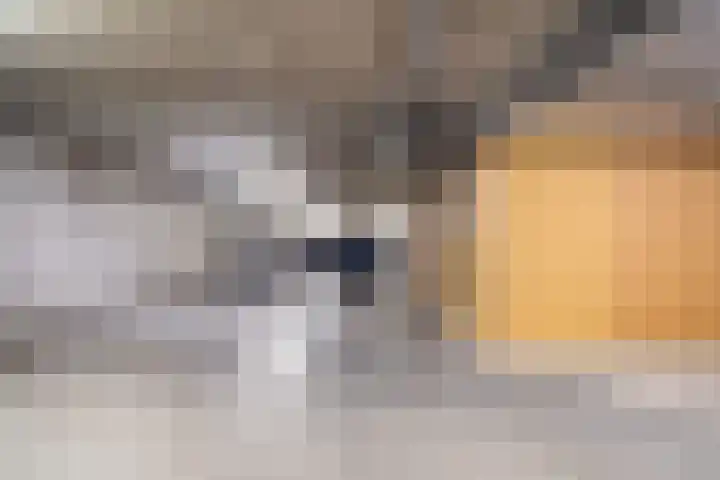 De Beemd 20 Wateringen thumbnail 58
